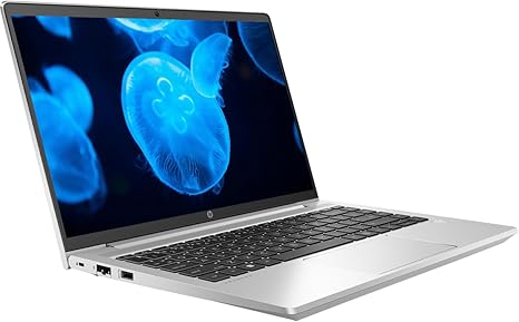 HP ProBook Ryzen